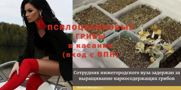 метадон Надым