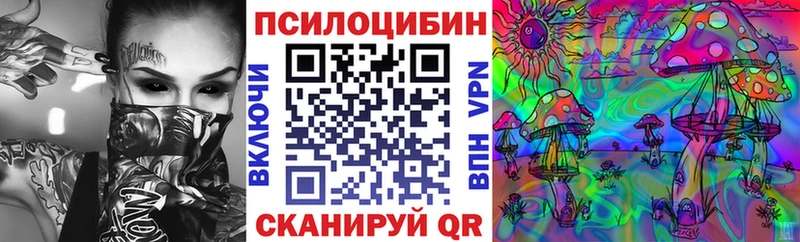 наркотики  Дегтярск  Псилоцибиновые грибы Psilocybine cubensis 